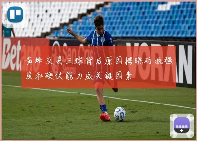 黄蜂交易三球背后原因揭晓对抗强度和硬仗能力成关键因素